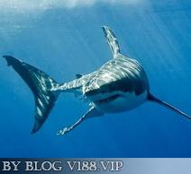 linux下c++编程环境搭建,运行过程以及调试